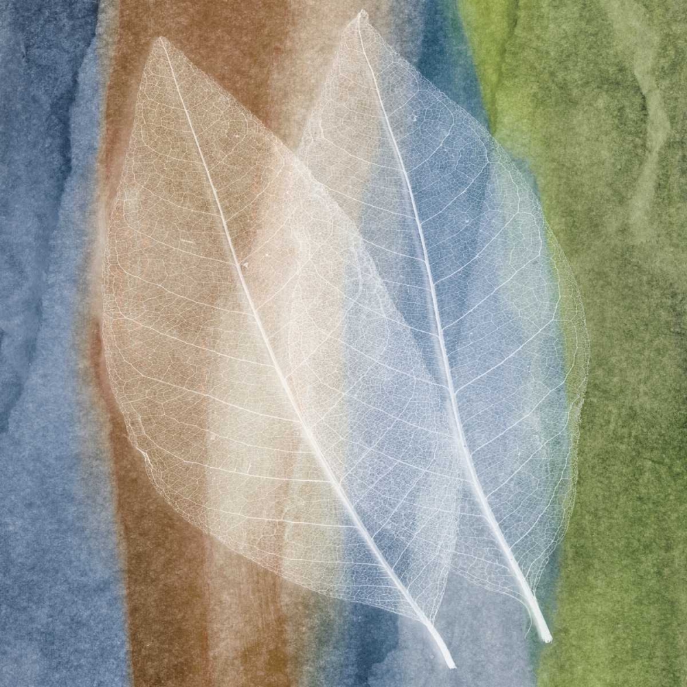 Leaf Structure I art print by John Rehner for $57.95 CAD