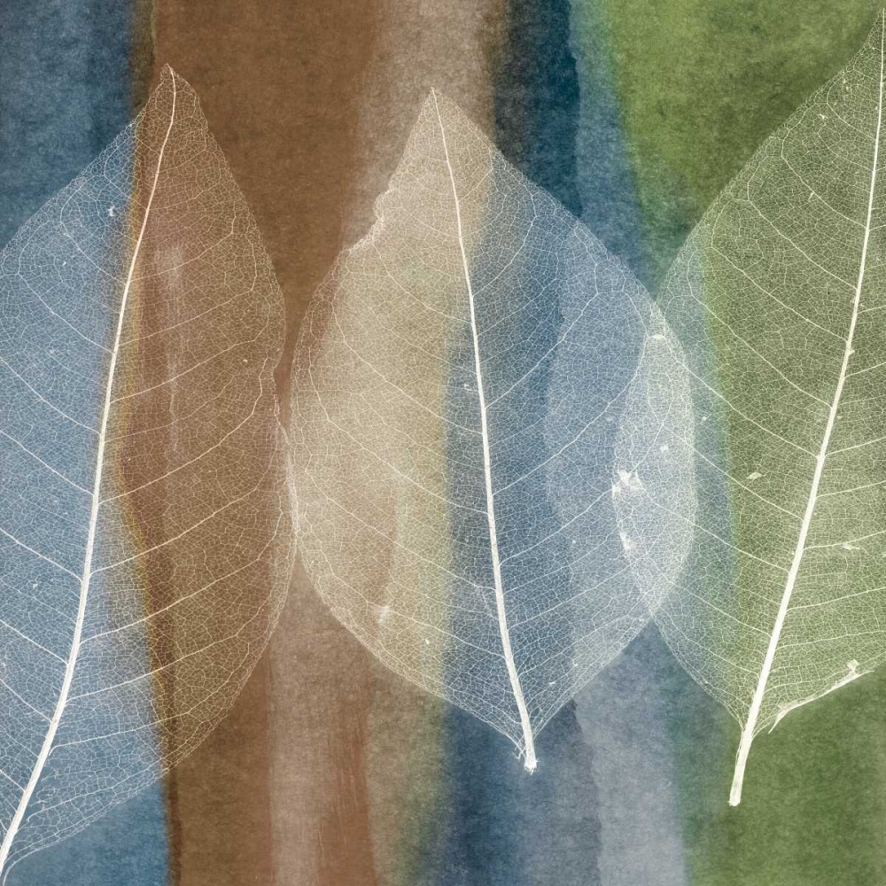 Leaf Structure II art print by John Rehner for $57.95 CAD