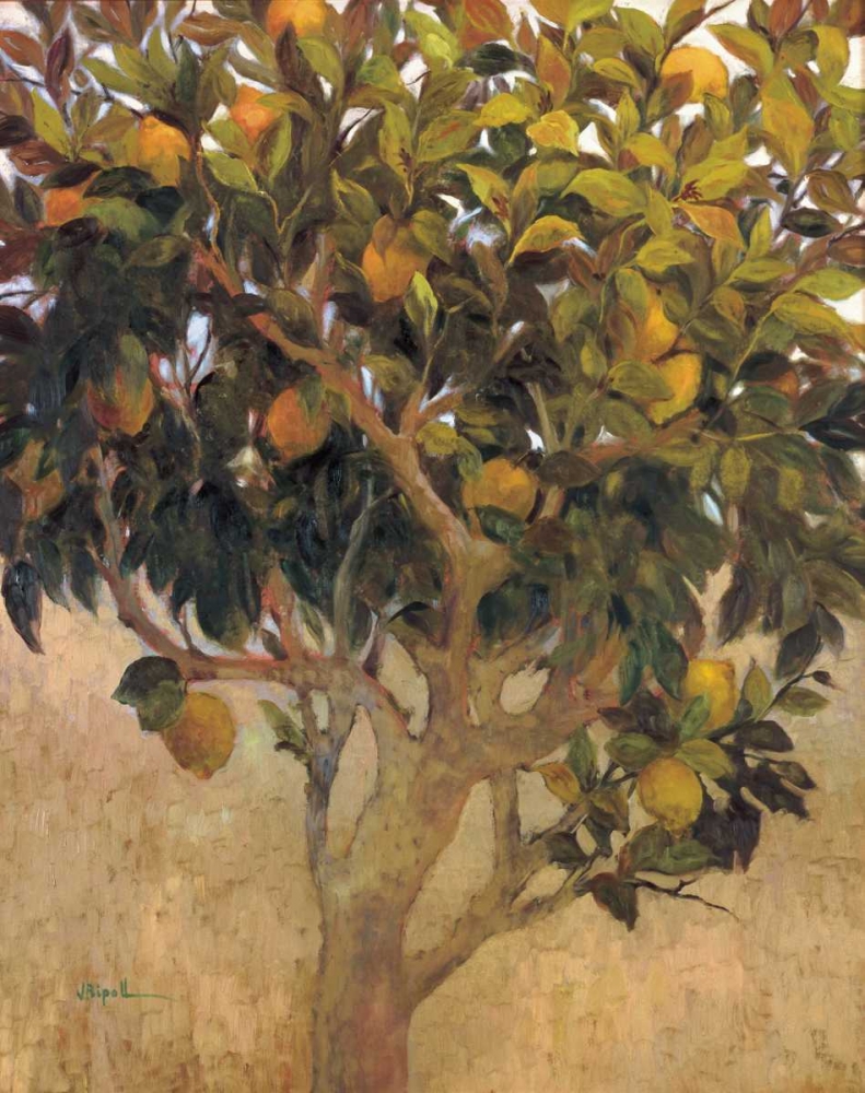 Limonero art print by J. Ripoll for $57.95 CAD