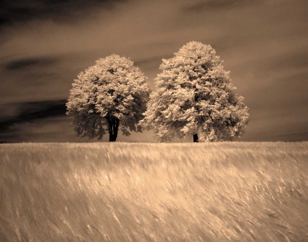 Together and Alone I art print by Ily Szilagyi for $57.95 CAD