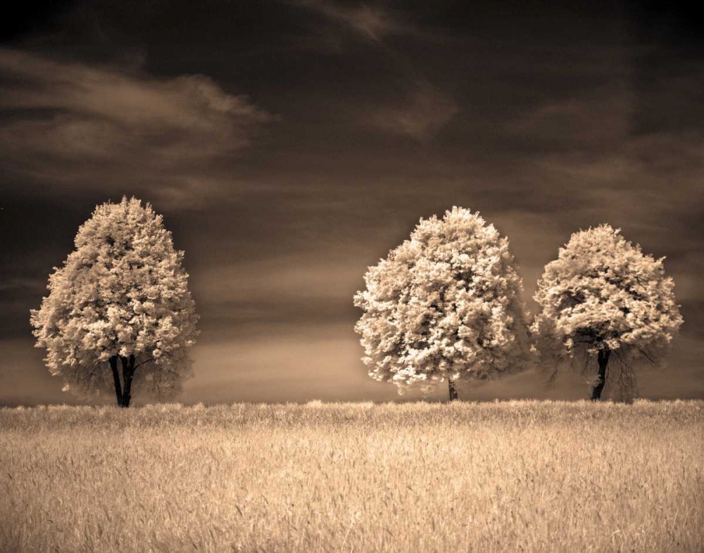 Together and Alone II art print by Ily Szilagyi for $57.95 CAD