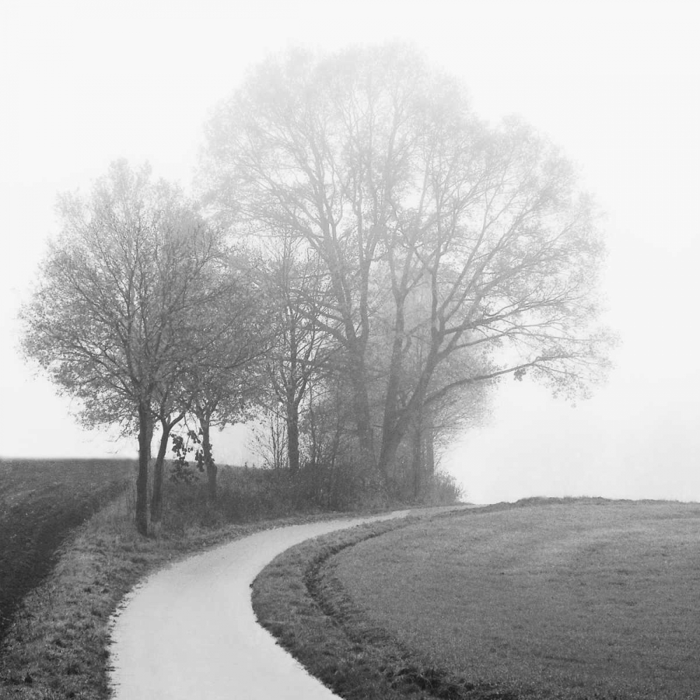 Foggy Afternoon art print by Ily Szilagyi for $57.95 CAD