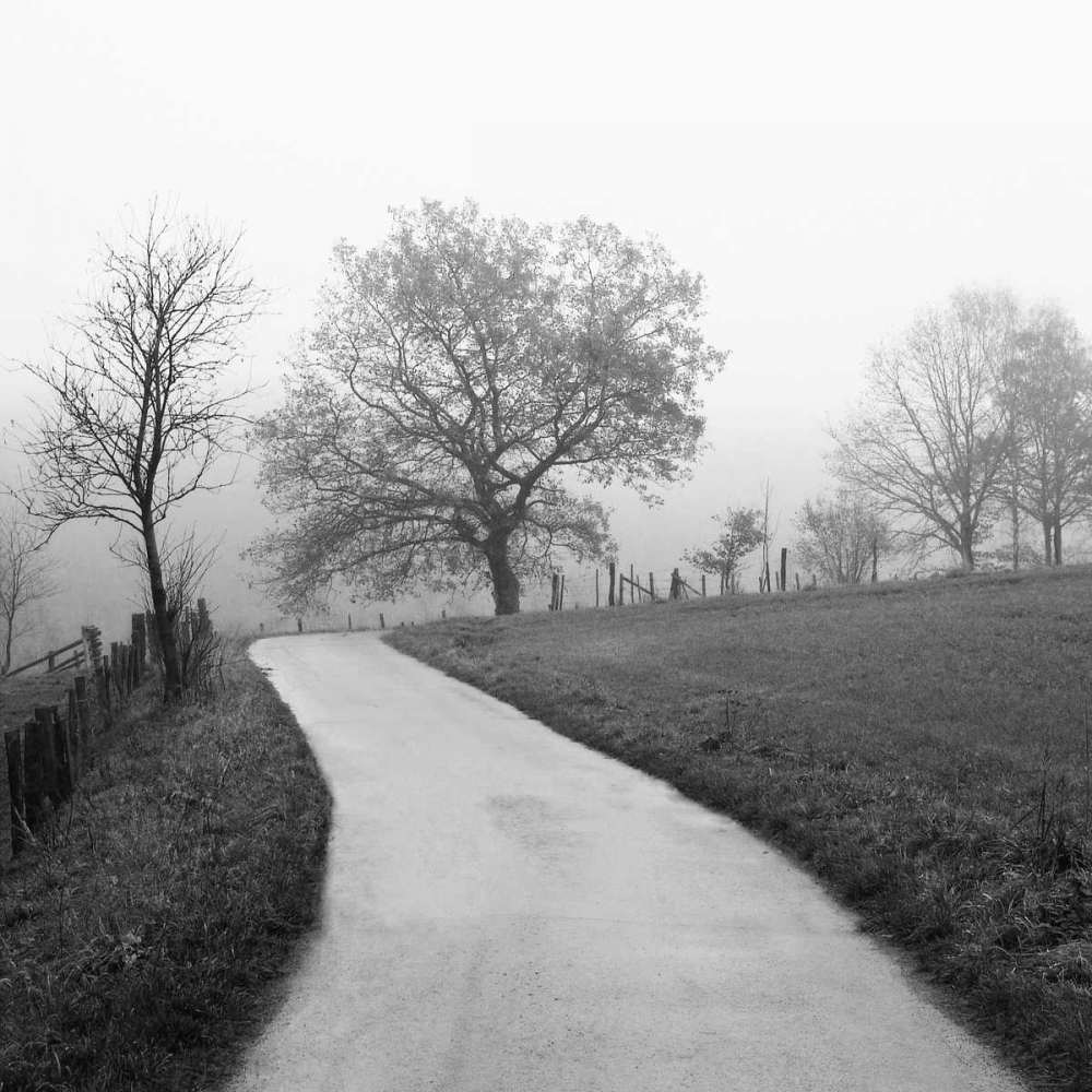 Foggy Afternoon art print by Ily Szilagyi for $57.95 CAD