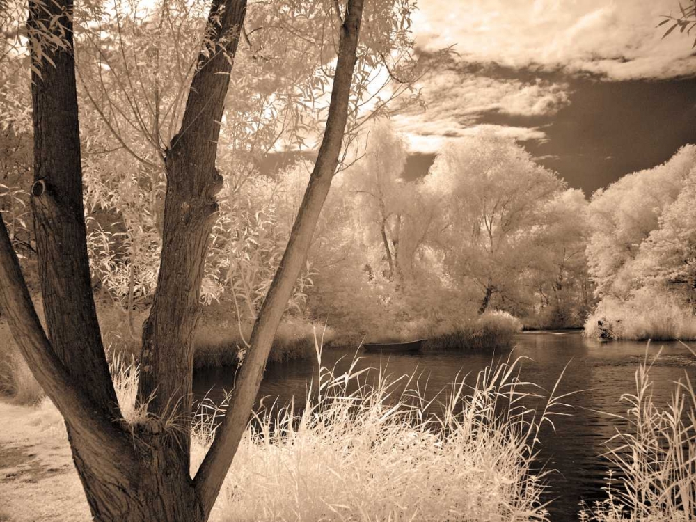 Lakefront View I art print by Ily Szilagyi for $57.95 CAD