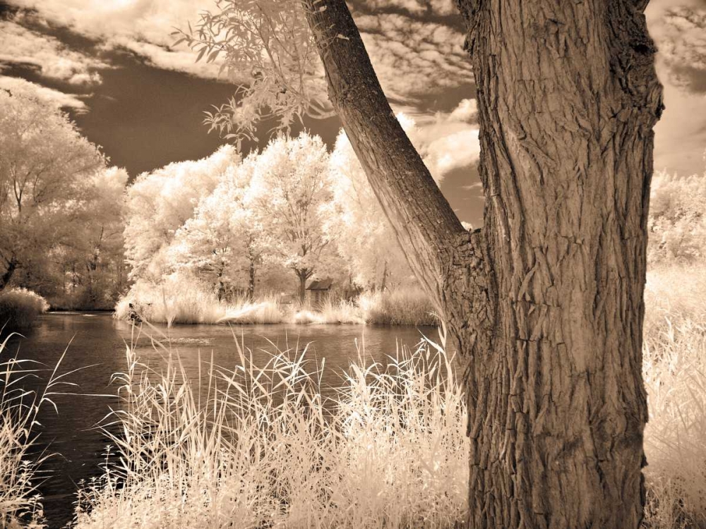 Lakefront View II art print by Ily Szilagyi for $57.95 CAD