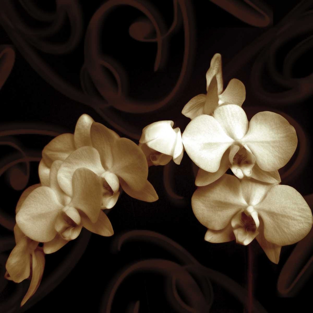 Elegance art print by Ily Szilagyi for $57.95 CAD