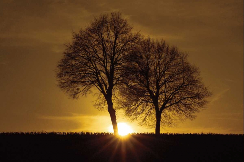 A New Beginning art print by Ily Szilagyi for $57.95 CAD