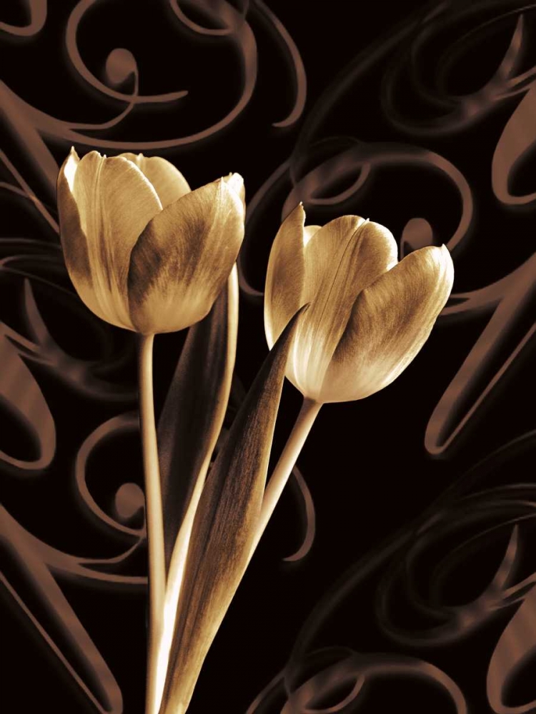 Floral Eloquence I art print by Ily Szilagyi for $57.95 CAD
