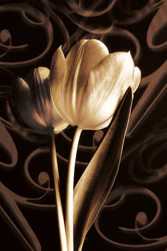 Floral Eloquence  II art print by Ily Szilagyi for $57.95 CAD