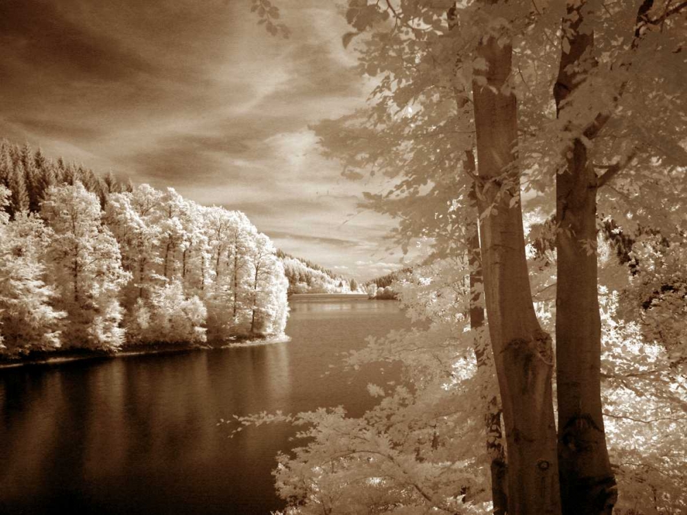 A View To Remember art print by Ily Szilagyi for $57.95 CAD