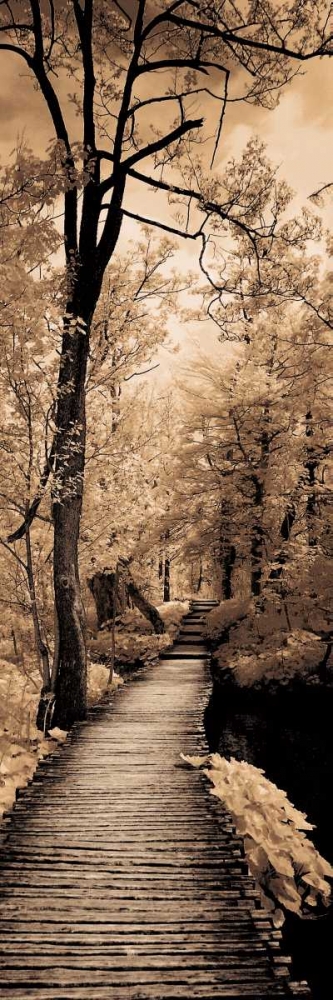 A Quiet Stroll I art print by Ily Szilagyi for $57.95 CAD