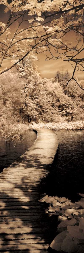 A Quiet Stroll II art print by Ily Szilagyi for $57.95 CAD