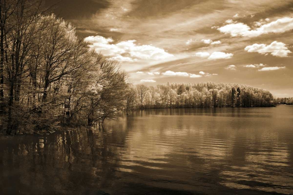Natures Glory art print by Ily Szilagyi for $57.95 CAD