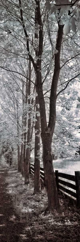A Walk To Remember II art print by Ily Szilagyi for $57.95 CAD