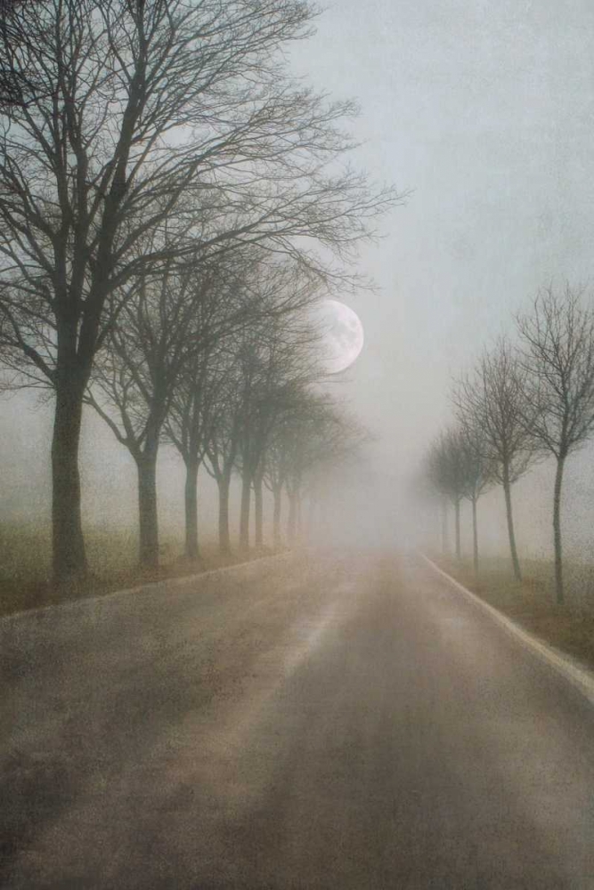 A Quiet Place art print by Ily Szilagyi for $57.95 CAD