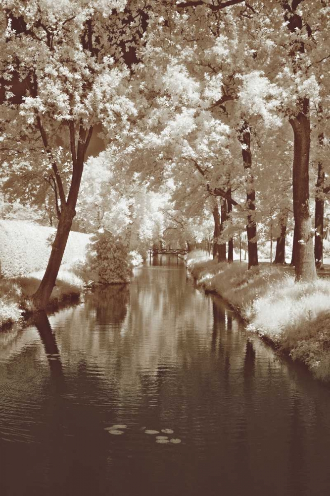Water Under the Bridge art print by Ily Szilyagi for $57.95 CAD