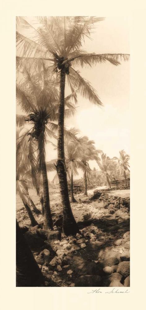 Equatorial Breeze I art print by Thea Schrack for $57.95 CAD