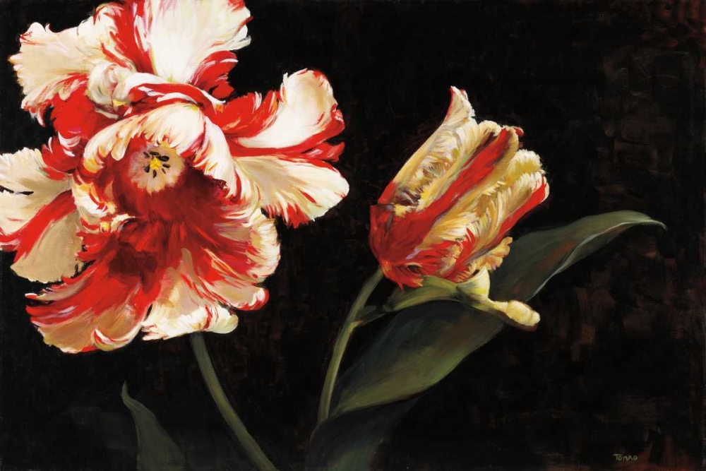 Resplendent art print by Jennie Tomao for $57.95 CAD