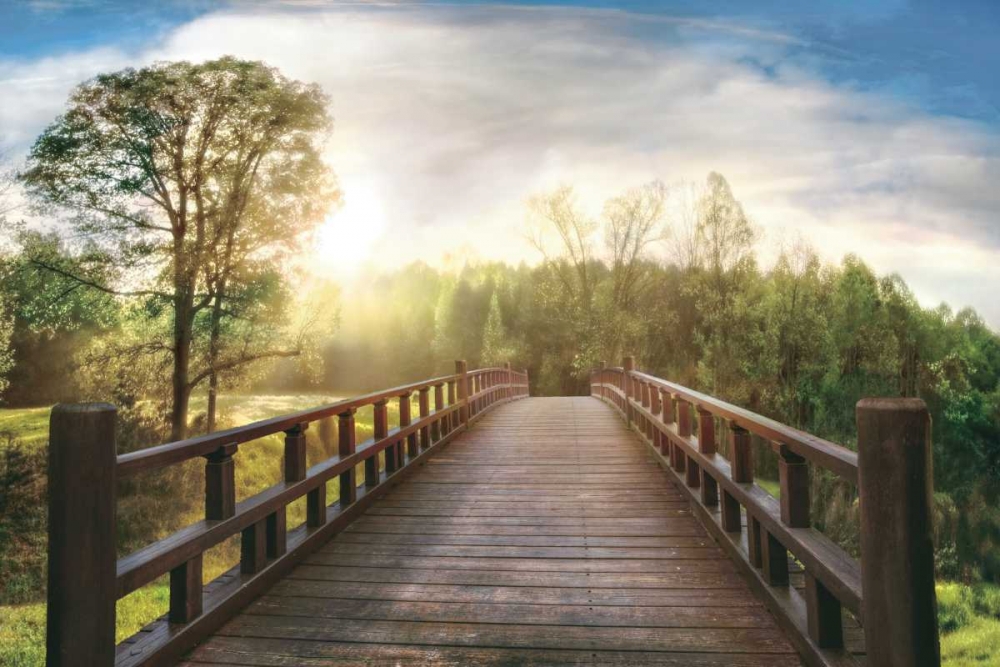 Dreams art print by Celebrate Life Gallery for $57.95 CAD