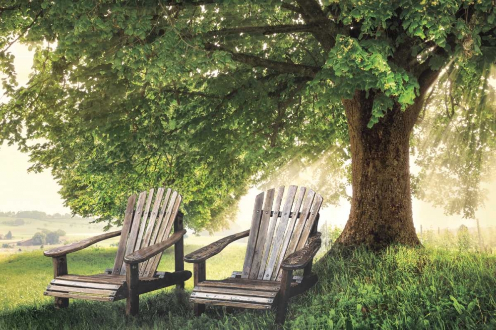 Made In The Shade art print by Celebrate Life Gallery for $57.95 CAD