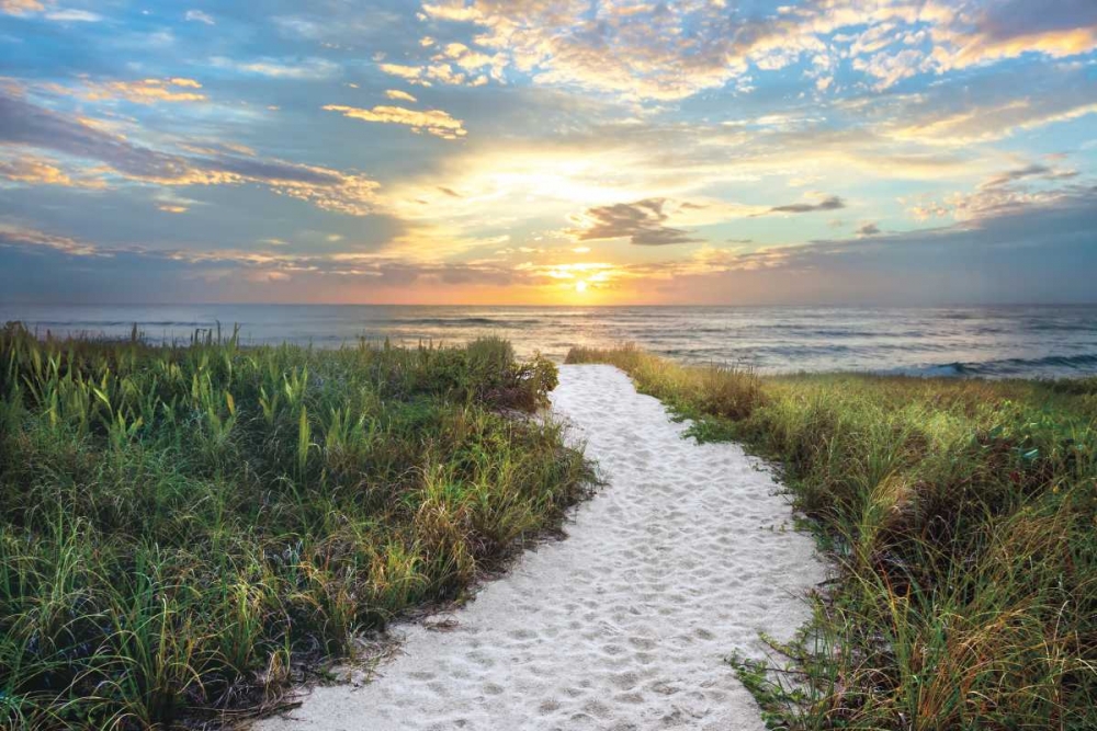 Morning Trail art print by Celebrate Life Gallery for $57.95 CAD