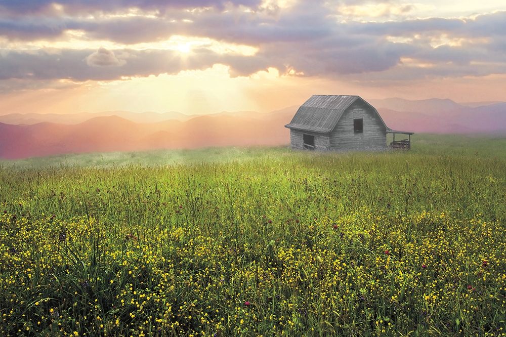 Morning Has Broken art print by Celebrate Life Gallery for $57.95 CAD