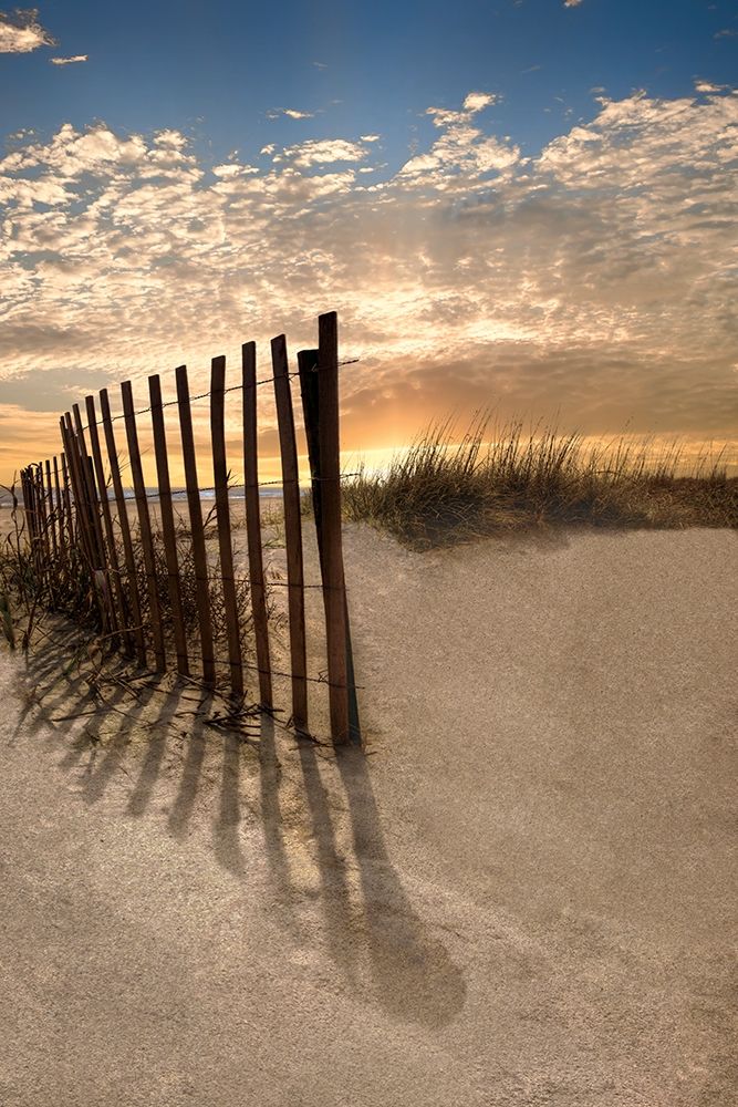 Dune Fence at Sunrise art print by Celebrate Life Gallery for $57.95 CAD
