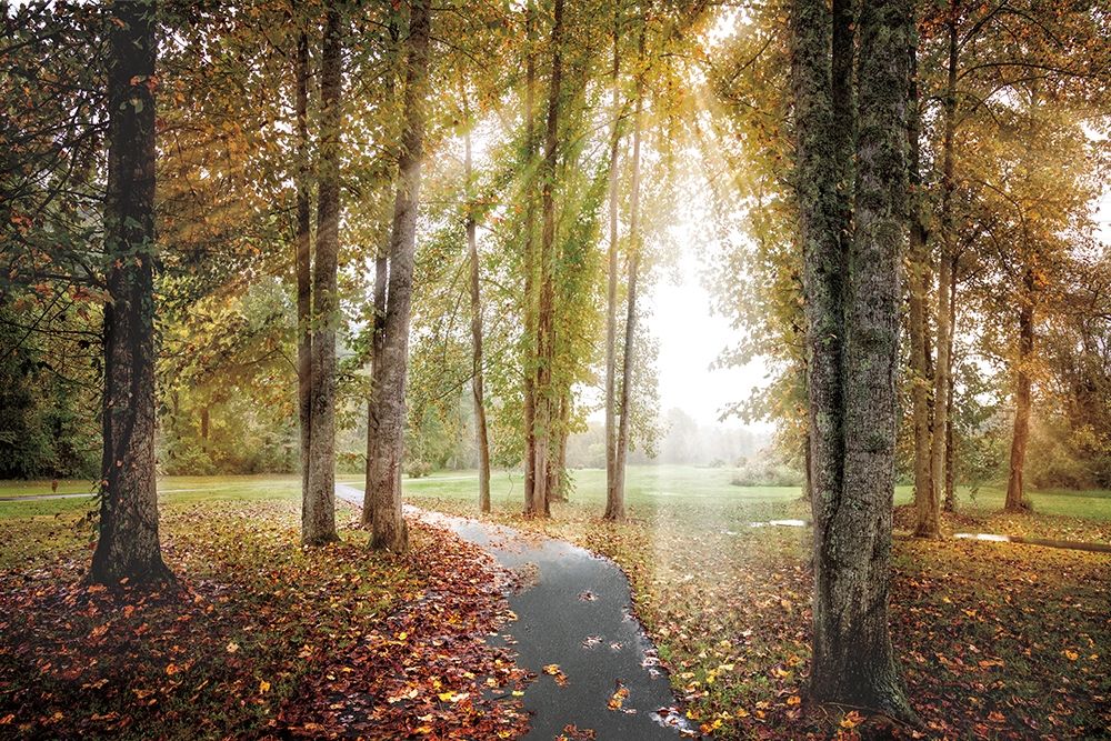 Following the Light art print by Celebrate Life Gallery for $57.95 CAD