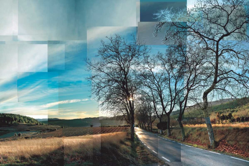 Penedes Vineyards art print by Pep Ventosa for $57.95 CAD
