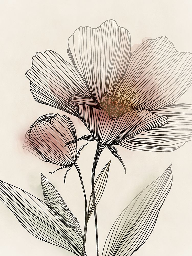 Delicate Lines of Natures Grace II art print by Aria K for $57.95 CAD