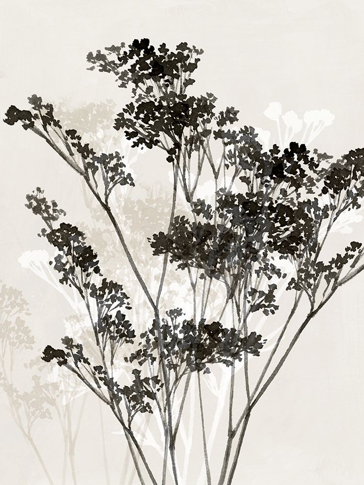 Silhouettes of Delicate Blooms I art print by Aria K for $57.95 CAD