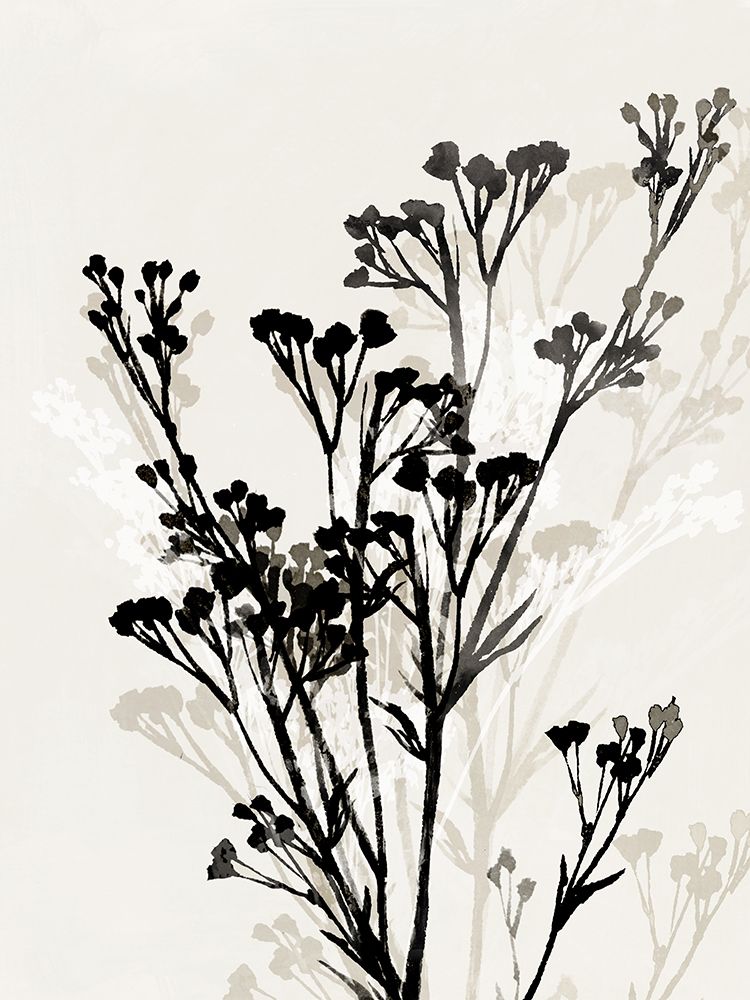 Silhouettes of Delicate Blooms II art print by Aria K for $57.95 CAD