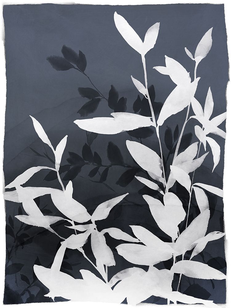 Monochrome Leaves in Contrast II art print by Aria K for $57.95 CAD