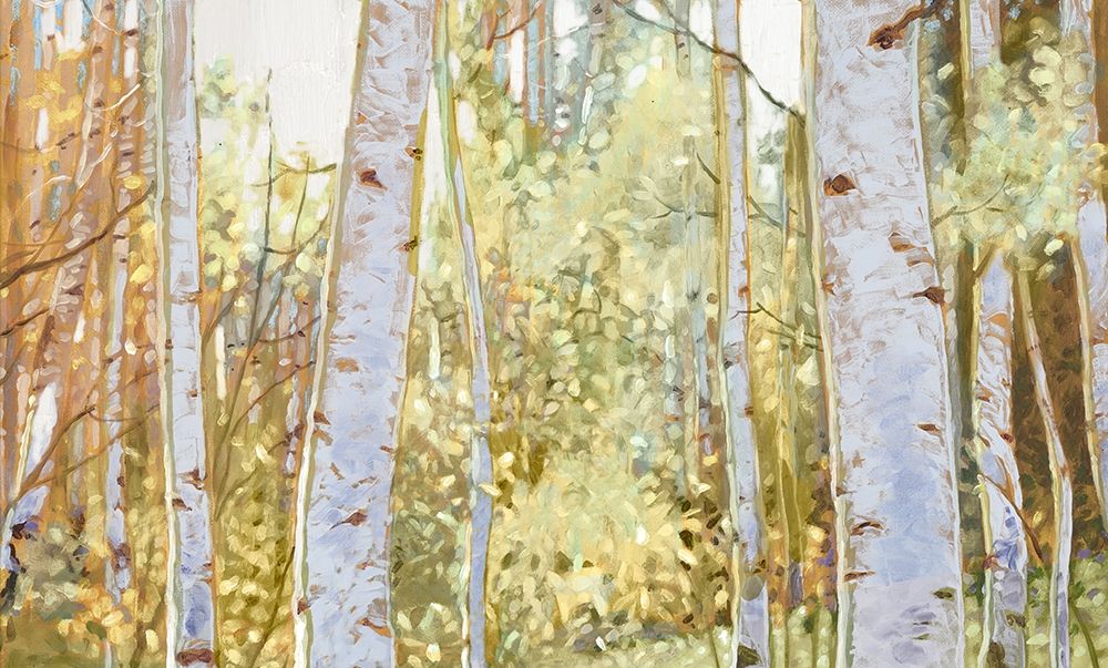 Summer Birch I art print by Anthony Del Rizzo for $57.95 CAD