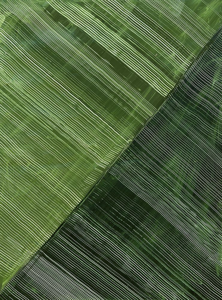 Green Stripes in Parallel Harmony II art print by Emma Peal for $57.95 CAD