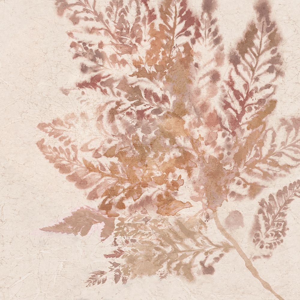 Coral Fern I art print by Alex Black for $57.95 CAD