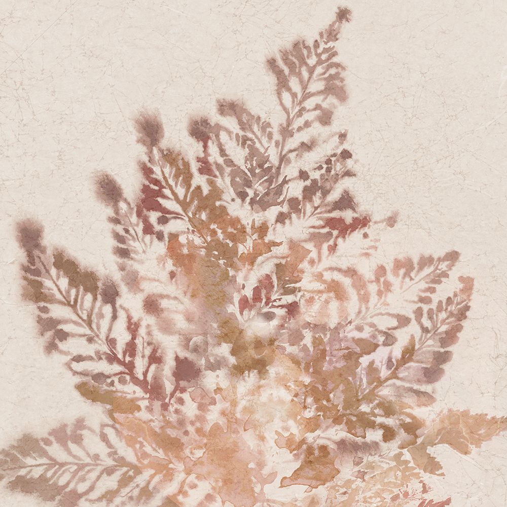 Coral Fern II art print by Alex Black for $57.95 CAD