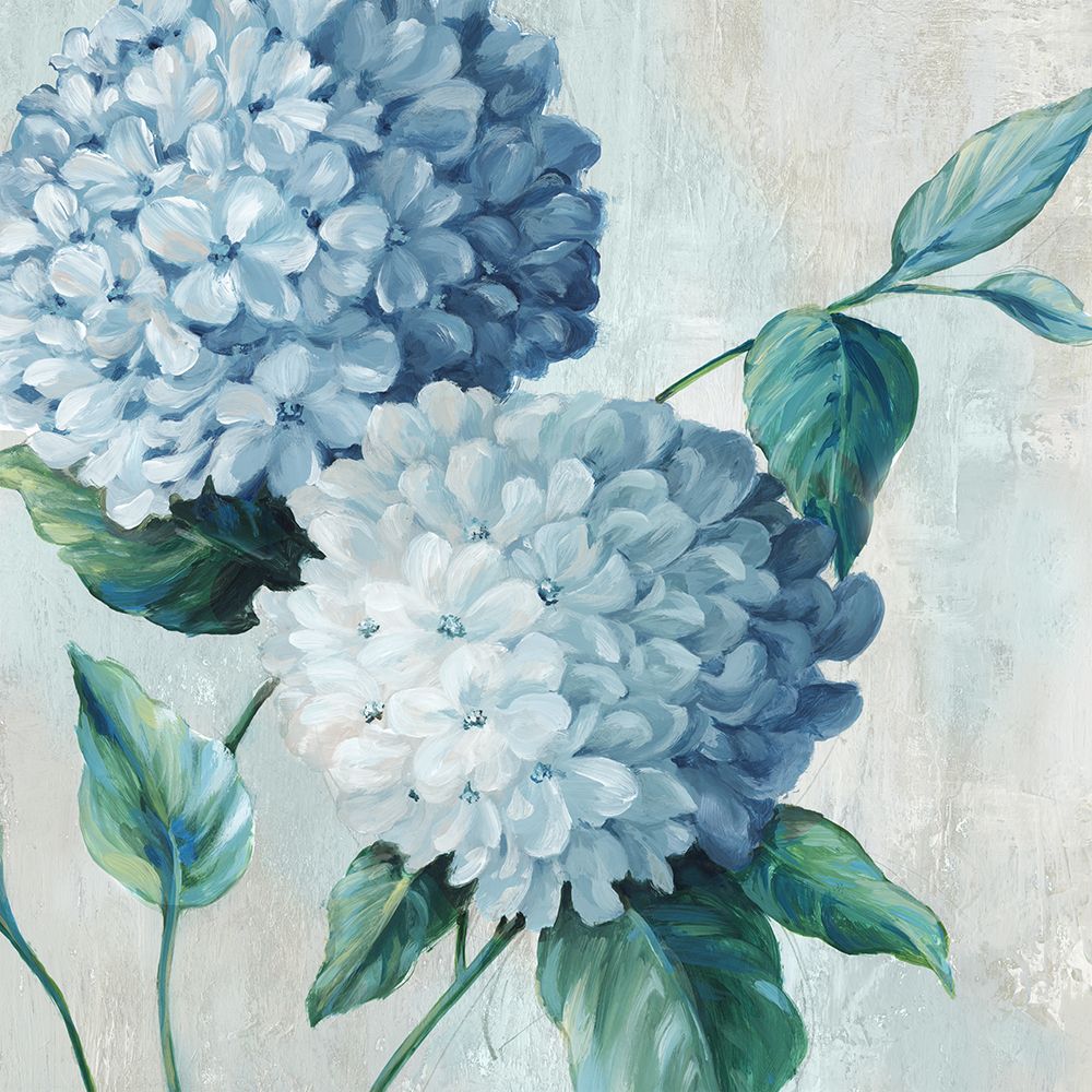 Blue Hydrangea Blooms II art print by Alex Black for $57.95 CAD