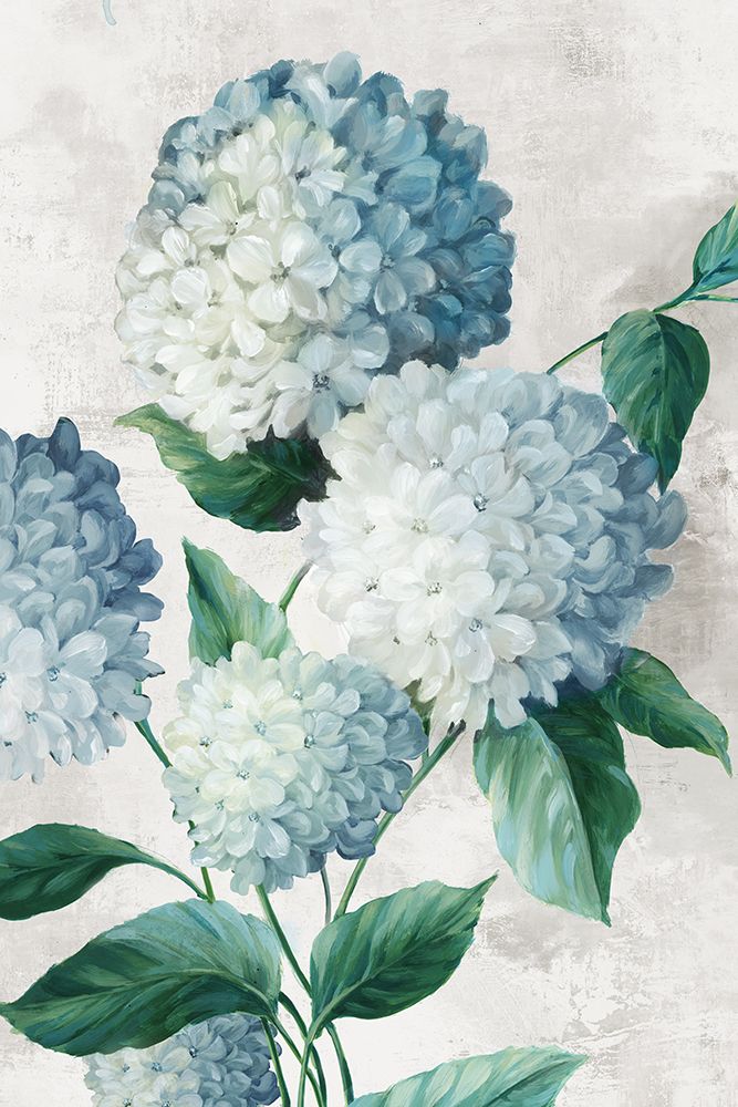 Blue Hydrangea Florals art print by Alex Black for $57.95 CAD