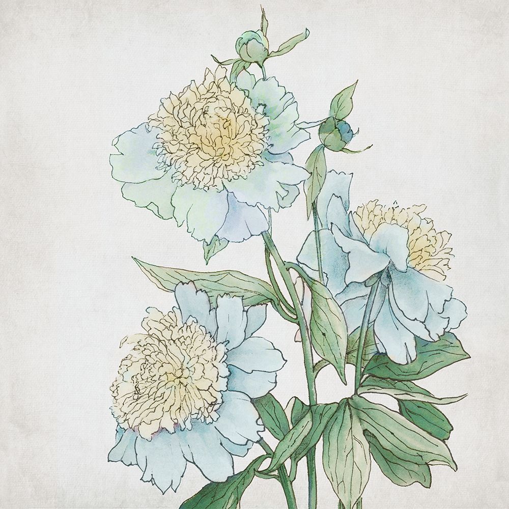 Delicate Botanical Blue I art print by Alex Black for $57.95 CAD