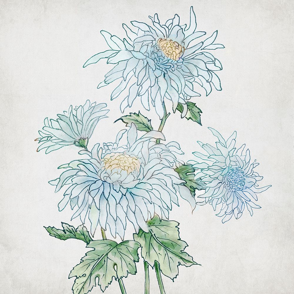 Delicate Botanical Blue II art print by Alex Black for $57.95 CAD