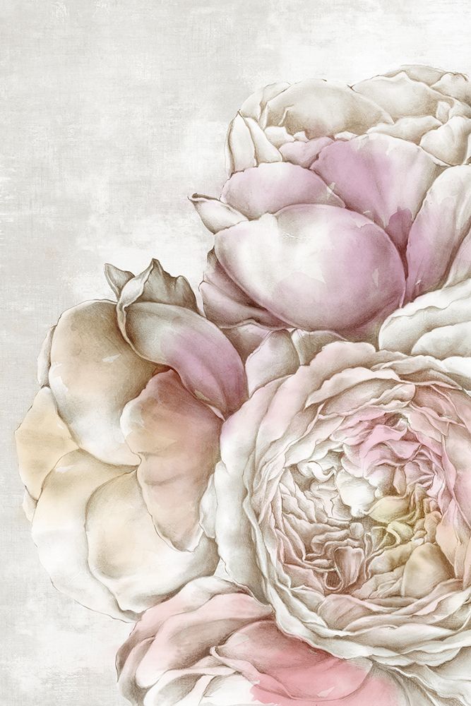 Pink Peonies art print by Alex Black for $57.95 CAD