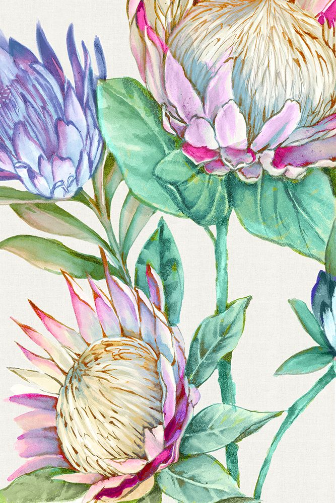 Wild King Protea art print by Alex Black for $57.95 CAD