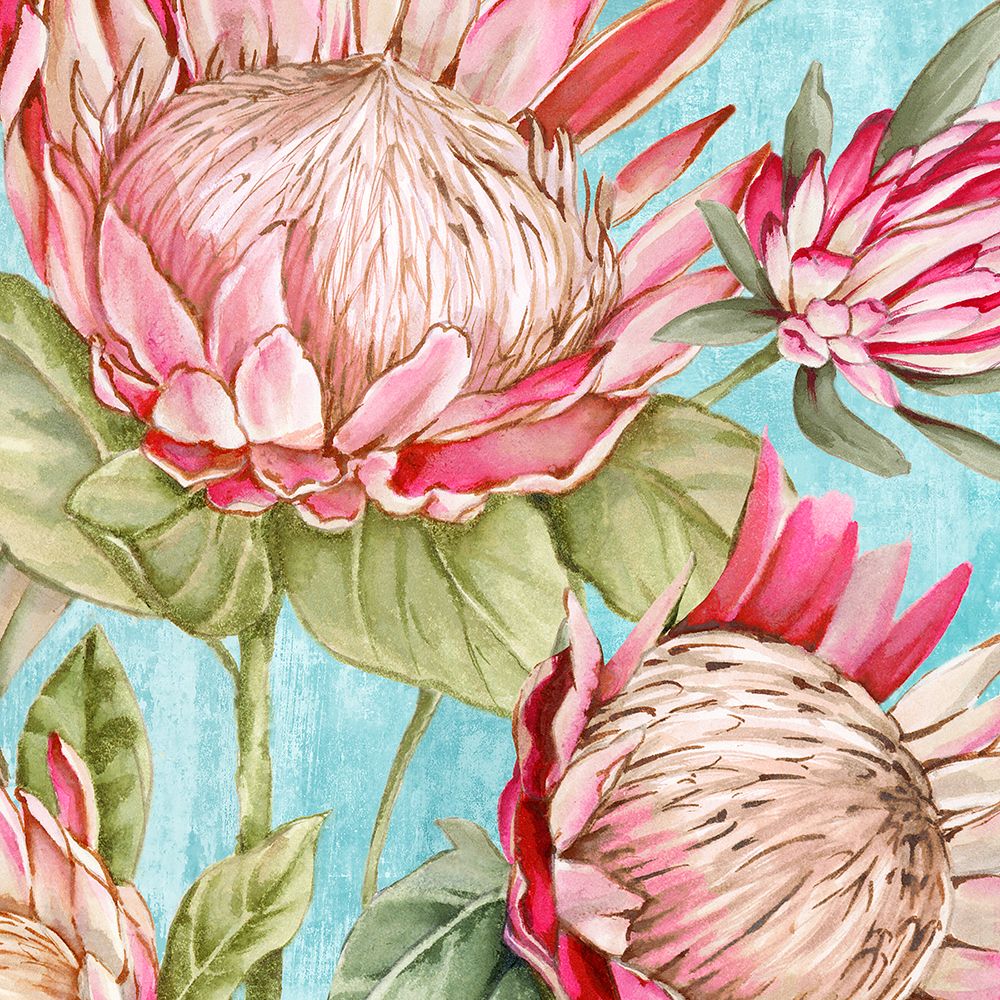 Popping King Protea I art print by Alex Black for $57.95 CAD