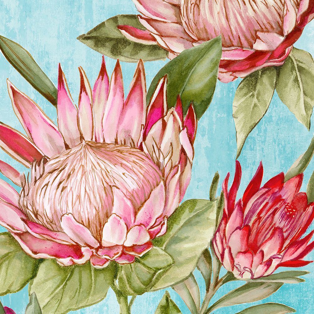 Popping King Protea II art print by Alex Black for $57.95 CAD