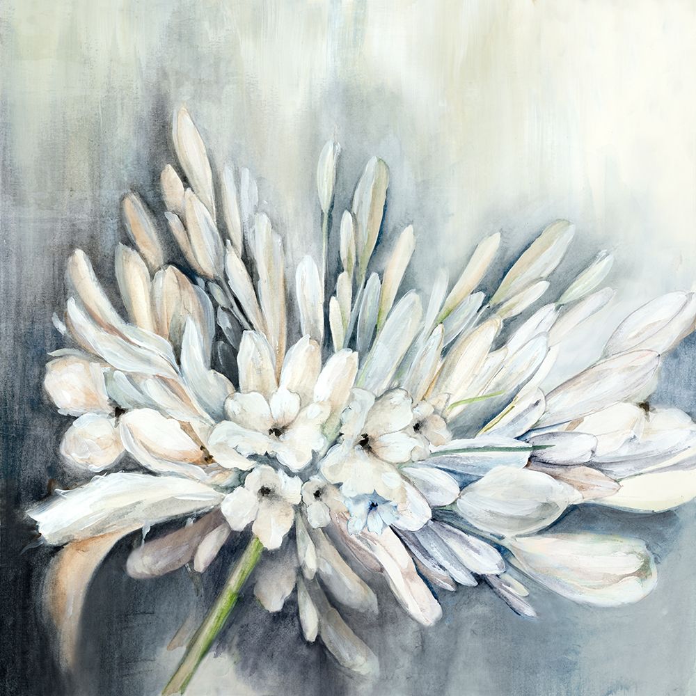 White Flora Bloom art print by Alex Black for $57.95 CAD
