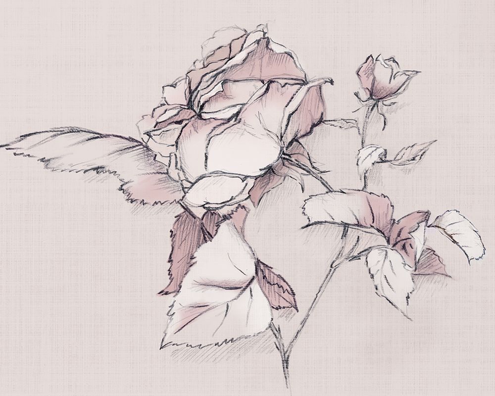 Blush Floral Flourish art print by Alex Black for $57.95 CAD