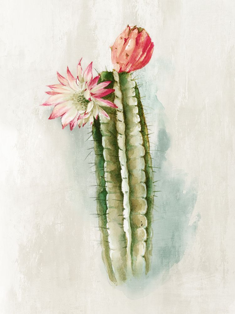 Cactus Bloom I art print by Alex Black for $57.95 CAD