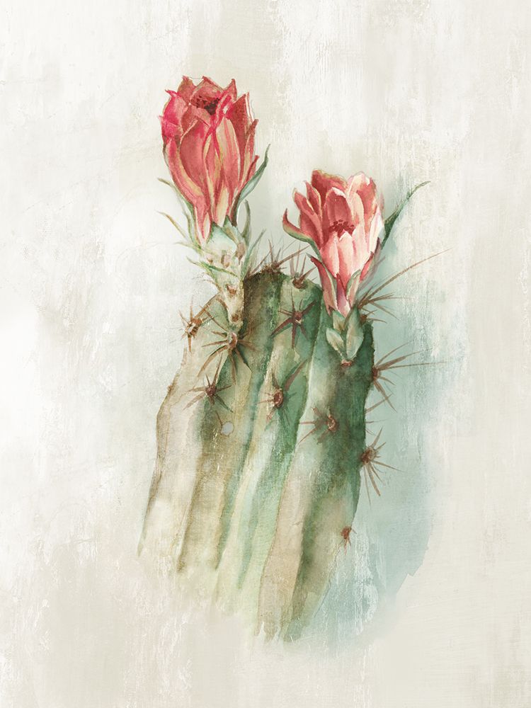 Cactus Bloom II art print by Alex Black for $57.95 CAD