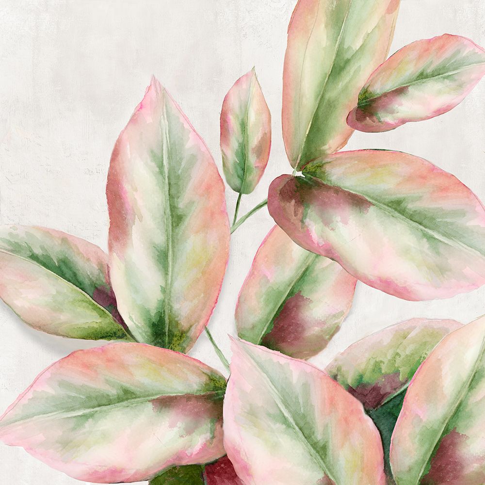 Fresh Leaves II art print by Alex Black for $57.95 CAD